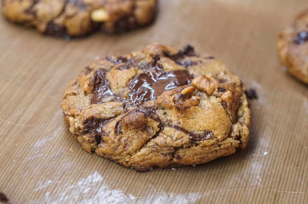 Warm chocolate chip cookie fresh from the oven